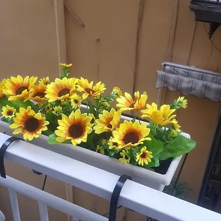 Giardinetto A Toledo