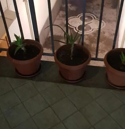 Giardinetto A Toledo