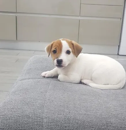 Apartament Giardinetto A Toledo *