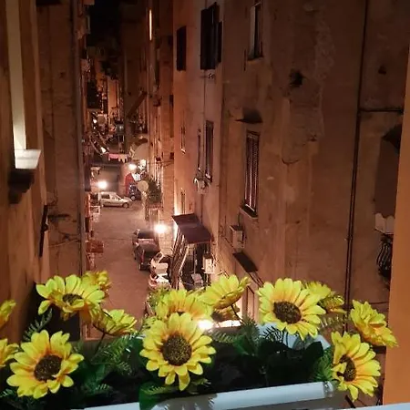 Giardinetto A Toledo *